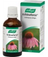 A.VOGEL ECHINAFORCE 50ml