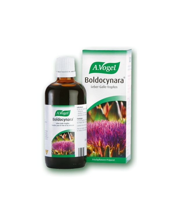 A.VOGEL BOLDOCYNARA 50ml