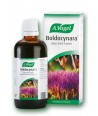 A.VOGEL BOLDOCYNARA 50ml