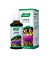 A.VOGEL CYNARA 50ml