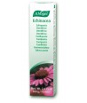 A.VOGEL ECHINACEA TOOTHPASTE 100gr