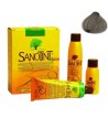 SANOTINT LIGHT BRIGHT ASHE CHESTNUT