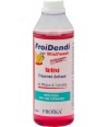 FROIKA FROIDENDI MOUTHWASH 250ml