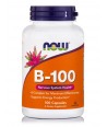 NOW FOODS VITAMIN B-100 CAPSULES
