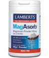 LAMBERTS MAG ASORB POWDER 165GR