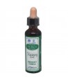 AM HEALTH DR. BACH RECOVERY PLUS AINSWORTHS 20ml