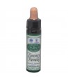 AM HEALTH RECOVERY REMEDY (RESQUE REMEDY) AINSWORTHS