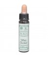 AM HEALTH WHITE CHESTNUT ΑΝΘΟΙΑΜΑ BACH AINSWORTHS 10ml