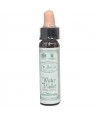 AM HEALTH WATER VIOLET BACH FLOWER REMEDY AINSWORTHS 10ml