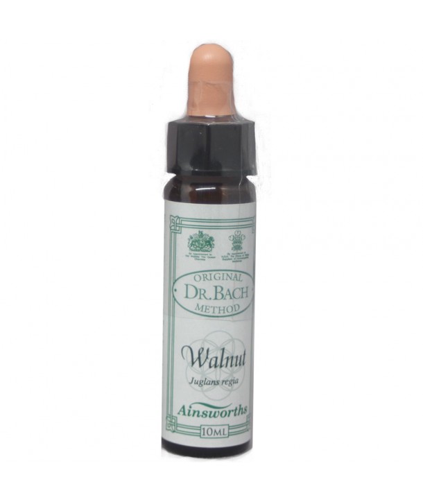 AM HEALTH WALNUT ΑΝΘΟΙΑΜΑ BACH AINSWORTHS 10ml
