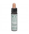 AM HEALTH VERVINE BACH FLOWER REMEDY AINSWORTHS 10ml