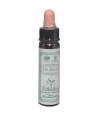 AM HEALTH STAR OF BETHLEHEM ΑΝΘΟΙΑΜΑ BACH AINSWORTHS 10ml