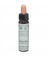 AM HEALTH SCLERANTHUS BACH FLOWER REMEDY AINSWORTHS 10ml