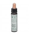 AM HEALTH ROCK WATER BACH FLOWER REMEDY AINSWORTHS 10ml