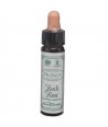 AM HEALTH ROCK ROSE BACH FLOWER REMEDY AINSWORTHS 10ml