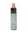 AM HEALTH RED CHESTNUT BACH FLOWER REMEDY AINSWORTHS 10ml