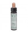 AM HEALTH OLIVE ΑΝΘΟΙΑΜΑ BACH AINSWORTHS 10ml