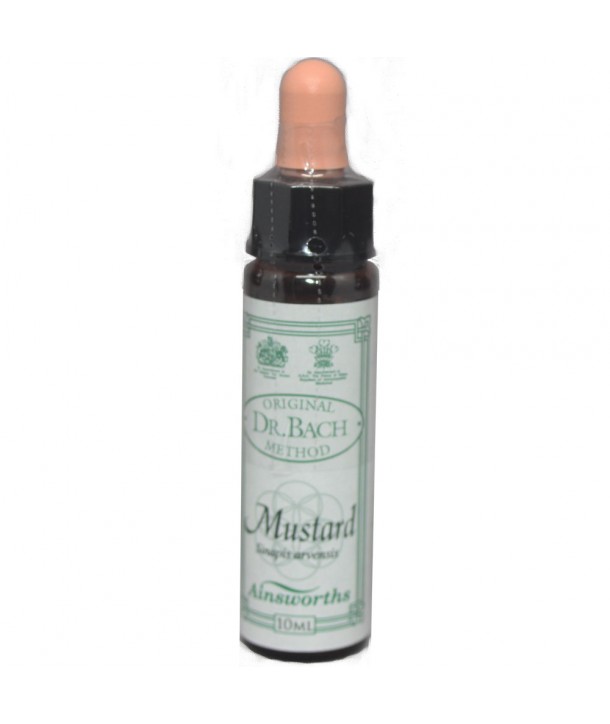 AM HEALTH MUSTARD BACH FLOWER REMEDY AINSWORTHS 10ml