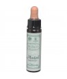 AM HEALTH MUSTARD BACH FLOWER REMEDY AINSWORTHS 10ml