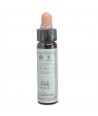AM HEALTH OAK BACH FLOWER REMEDY AINSWORTHS 10ml