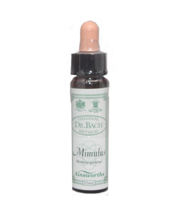AM HEALTH MIMULUS ΑΝΘΟΙΑΜΑ BACH AINSWORTHS 10ml