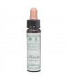 AM HEALTH MIMULUS ΑΝΘΟΙΑΜΑ BACH AINSWORTHS 10ml
