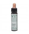 AM HEALTH LARCH ΑΝΘΟΙΑΜΑ BACH AINSWORTHS 10ml