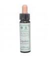 AM HEALTH IMPATIENTS BACH FLOWER REMEDY AINSWORTHS 10ml