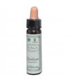 AM HEALTH HORNBEAM ΑΝΘΟΙΑΜΑ BACH AINSWORTHS 10ml