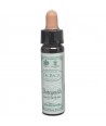 AM HEALTH HONEYSHUCKLE BACH FLOWER REMEDY AINSWORTHS 10ml