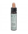 AM HEALTH HOLLY BACH FLOWER REMEDY AINSWORTHS 10ml