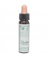 AM HEALTH HEATHER ΑΝΘΟΙΑΜΑ BACH AINSWORTHS 10ml