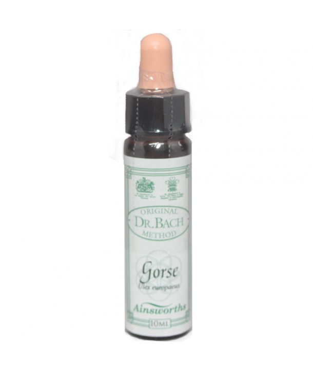 AM HEALTH GORSE BACH FLOWER REMEDY AINSWORTHS 10ml