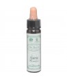 AM HEALTH GORSE BACH FLOWER REMEDY AINSWORTHS 10ml