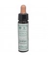 AM HEALTH GENTIAN BACH FLOWER REMEDY AINSWORTHS 10ml