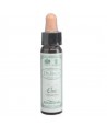 AM HEALTH ELM BACH FLOWER REMEDY AINSWORTHS 10ml