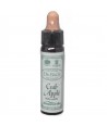 AM HEALTH CRAB APPLE BACH FLOWER REMEDY AINSWORTHS 10ml