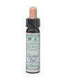 AM HEALTH CHESTNUT BUD ΑΝΘΟΙΑΜΑ BACH AINSWORTHS 10ml