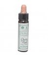 AM HEALTH CHERRY PLUM BACH FLOWER REMEDY AINSWORTHS 10ml