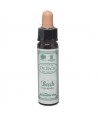AM HEALTH BEECH BACH FLOWER REMEDY AINSWORTHS 10ml