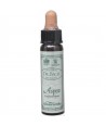 AM HEALTH ASPEN BACH FLOWER REMEDY AINSWORTHS 10ml