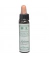 AM HEALTH AGRIMONY BACH FLOWER REMEDY AINSWORTHS 10ml
