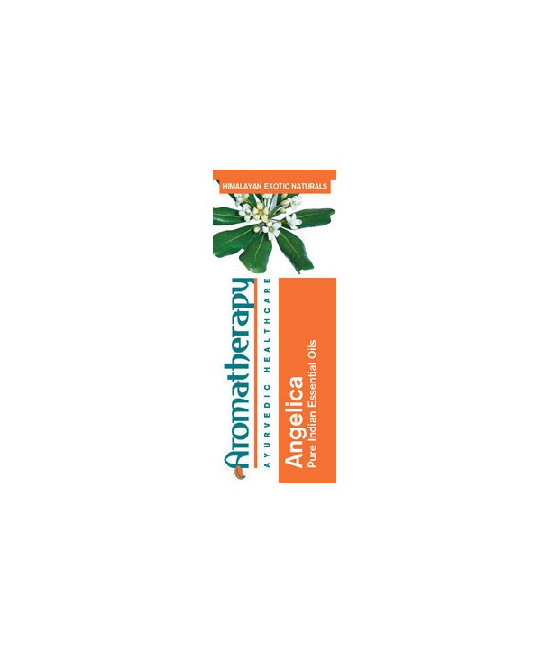 AYURCARE ANGELICA 10ML