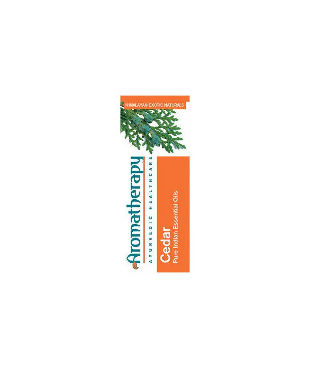 AYURCARE CEDAR 10ML