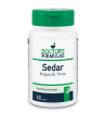 DOCTOR'S FORMULA SEDAR 60 CAPS