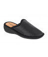 APOLLON NATURELLE C53