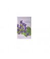 L'ERBOLARIO ACCORDO VIOLA PERFUMED SACHETS FOR DRAWERS 1 PIECE