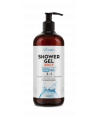 VICAN WISE MEN SHOWERGEL SPICY 500ml