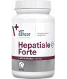 VET EXPERT HEPATIALE FORTE LARGE BREEDS 40 TABS