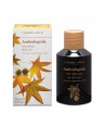 L'ERBOLARIO AMBRALIQUIDA OLIO VELUTANTE CORPO ΕΝΥΔΑΤΙΚΟ ΛΑΔΙ 125ml
